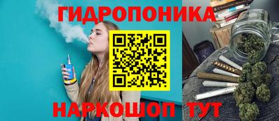 твердый Бийск